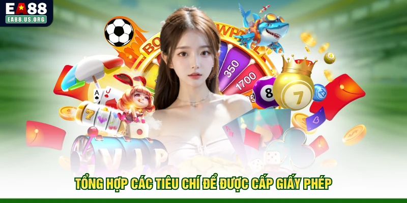 Tổng hợp các tiêu chí để được cấp giấy phép